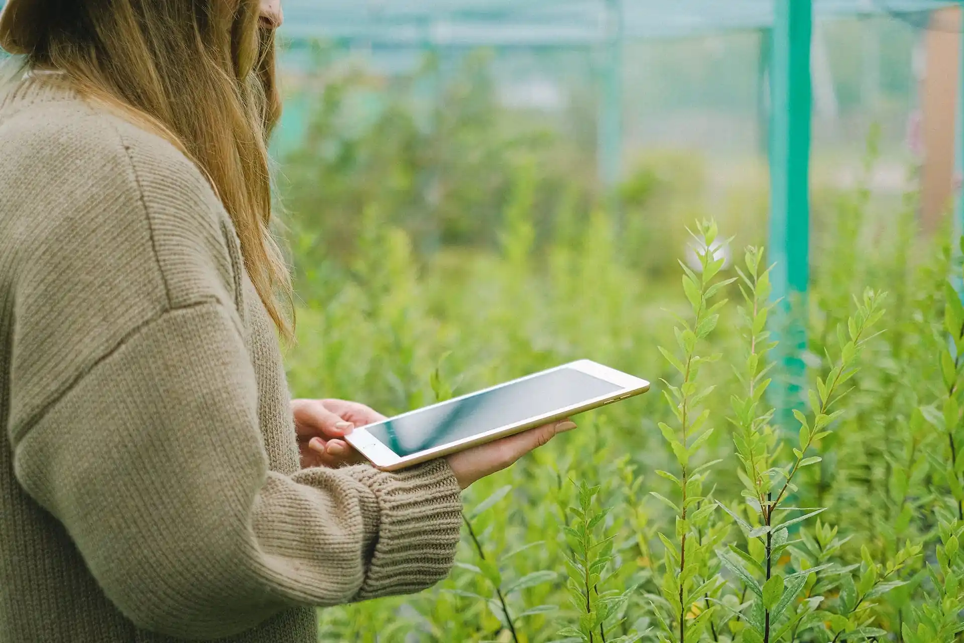 Food-Security-and-Climate-Change-Strategies-to-address-global-agricultural Food-Security-and-Climate-Change-Strategies-to-address-global-agricultural