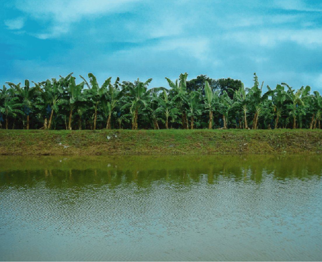 Grupo-7266@2x Grupo-7266@2x