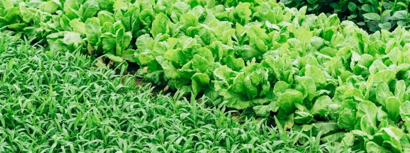 Food-Security-and-Climate-Change-Strategies-scaled