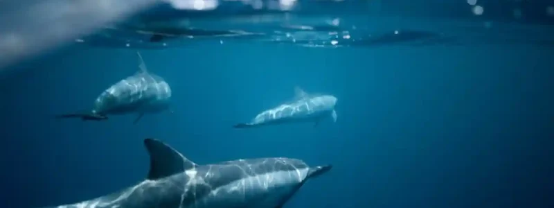 Thriving-Oceans-a-Sustainable-Planet-Key-Environmental-Actions-for-the-Protection-of-Our-Seas-and-Oceans