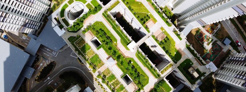 greener-cities-roof-2